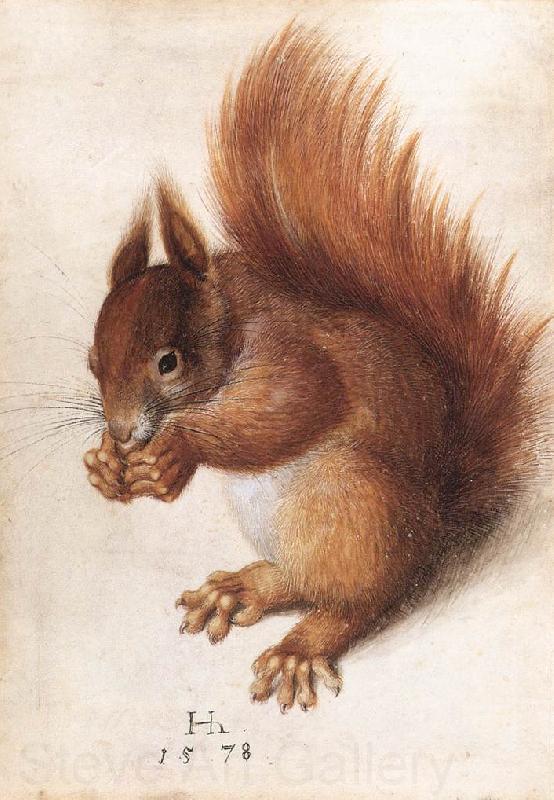 HOFFMANN, Hans Squirrel wf Norge oil painting art